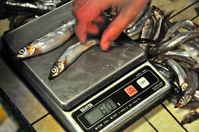 Scandinavie, Norvge, Sude, Finlande